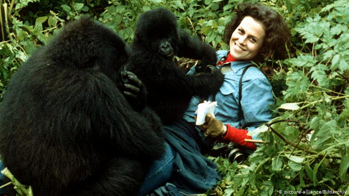 DIAN FOSSEY