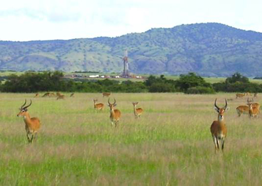 kabwoya wildlife reserve in Uganda