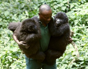 Re-opening of Virunga National park