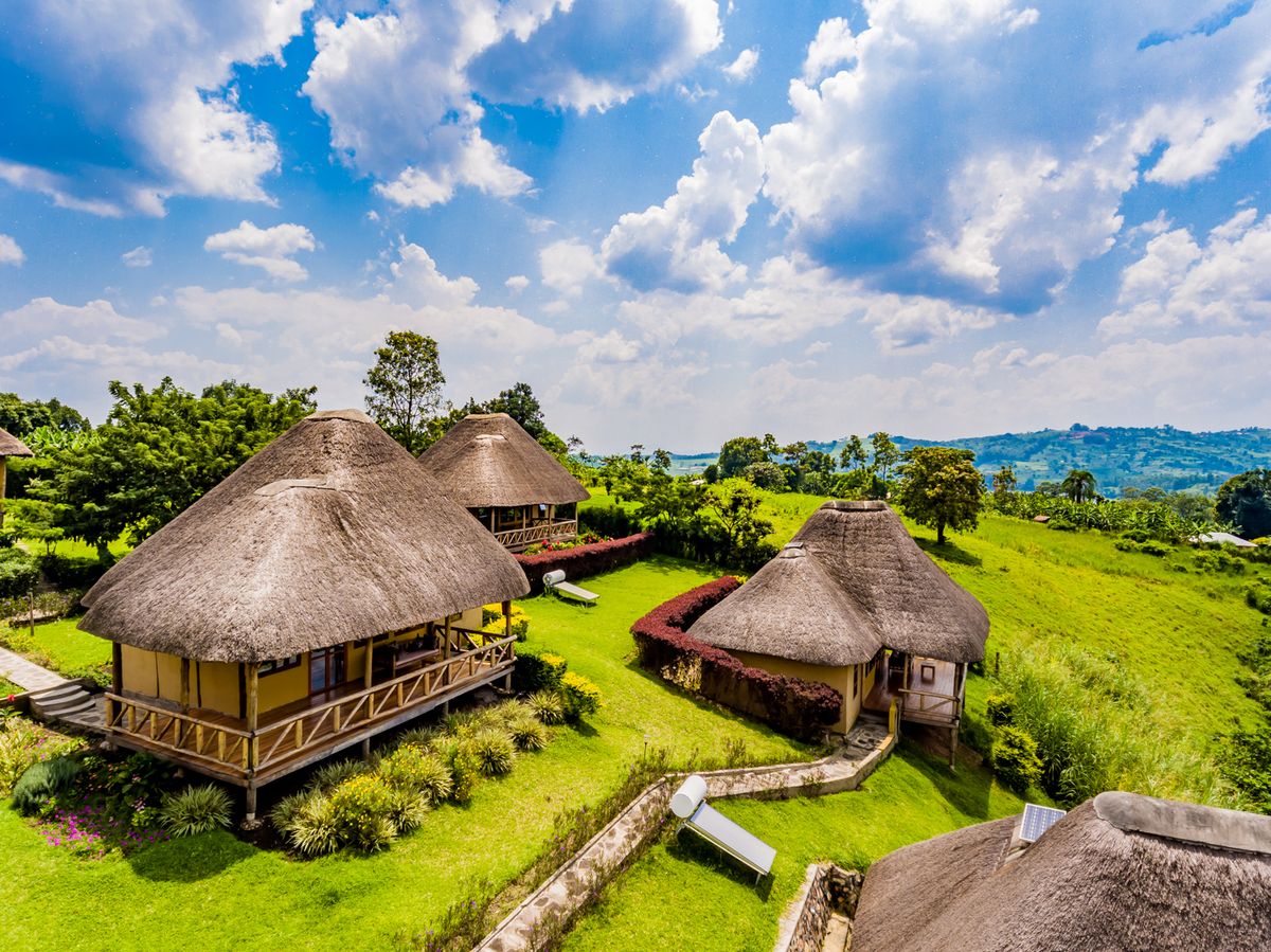 Kibale Forest National Park Lodges