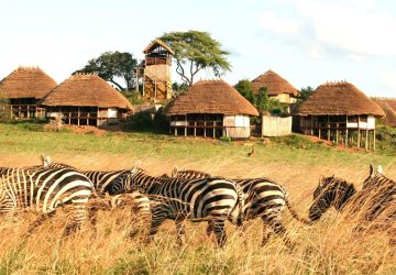 Luxury lodges in Kidepo Valley National park