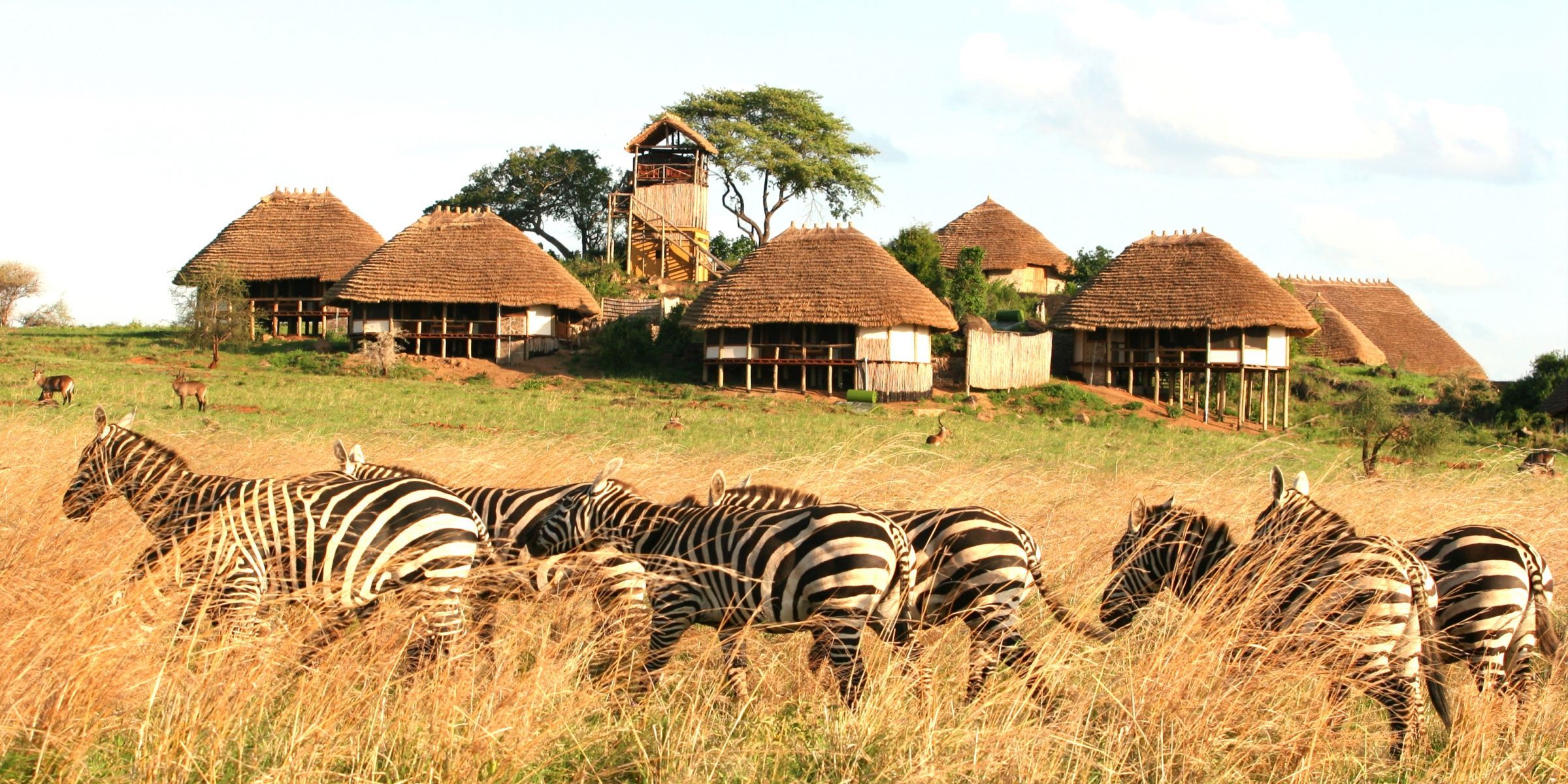 Luxury lodges in Kidepo Valley National park