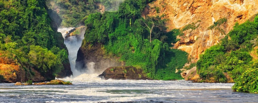 Murchison falls national park