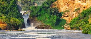 Murchison falls national park