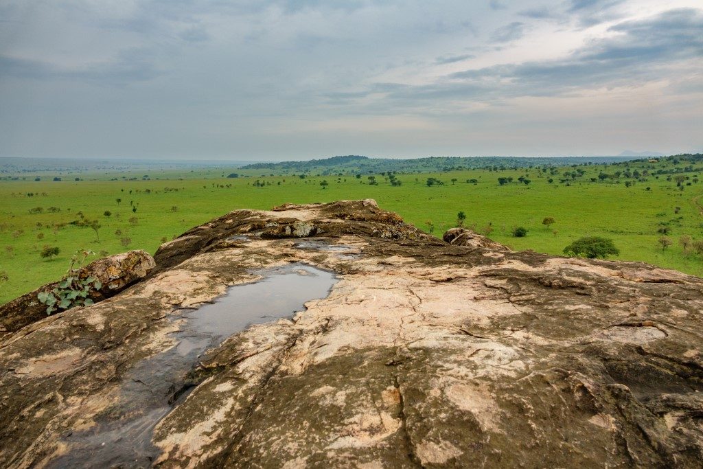 Kidepo Valley National Park safari