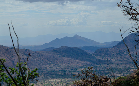 Hiking tours to Uganda