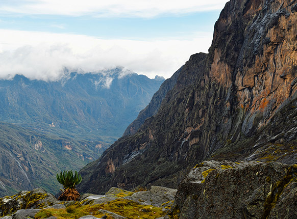 Rwenzori Mountains Uganda