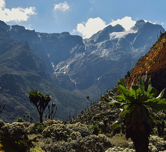 Uganda hiking safaris