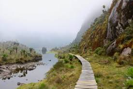 Uganda safaris, Hiking safaris in Rwenzori, Kilembe-Rwenzori Mountains Trail Safari