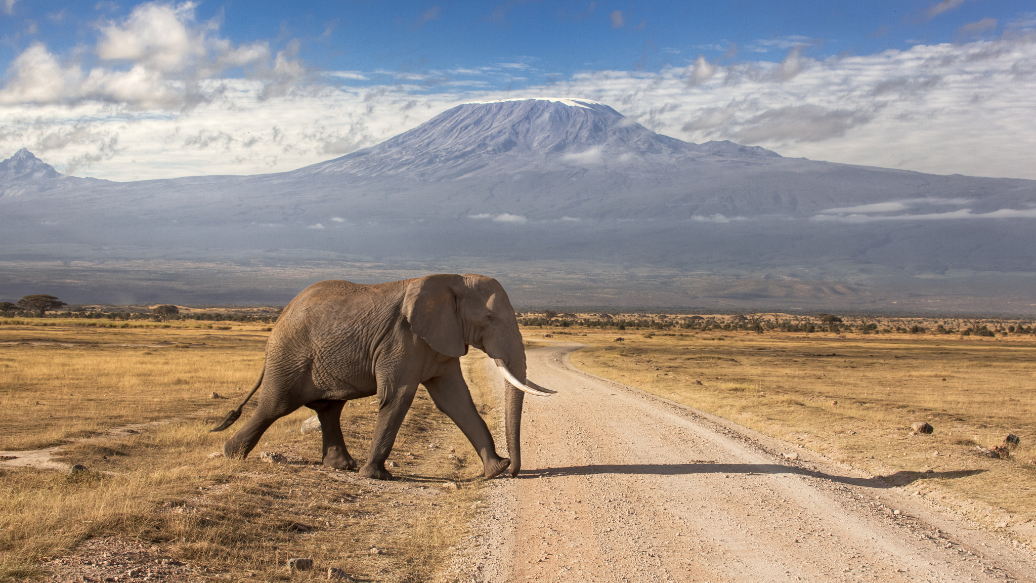 Kilimanjaro hiking safari