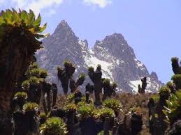 mount Elgon Hiking