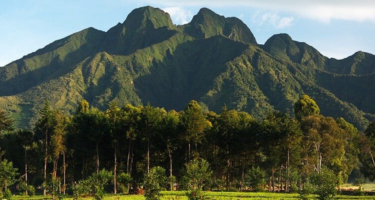 Volcanoes Natinal Park Rwanda