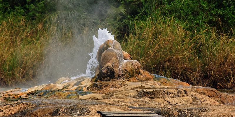 Semuliki national park Uganda, Birding in Semuliki national park, Birding safari in Uganda 