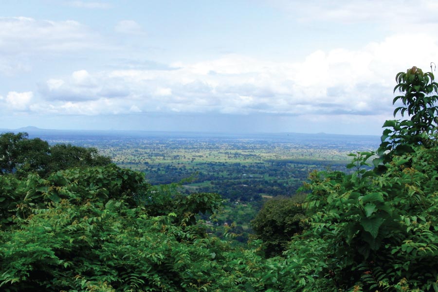 Udzungwa Mountain has gotten alot not to miss