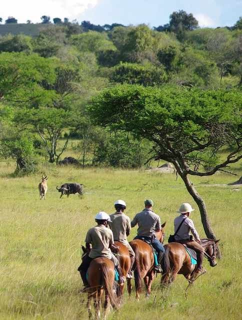 Horse ride in uganda