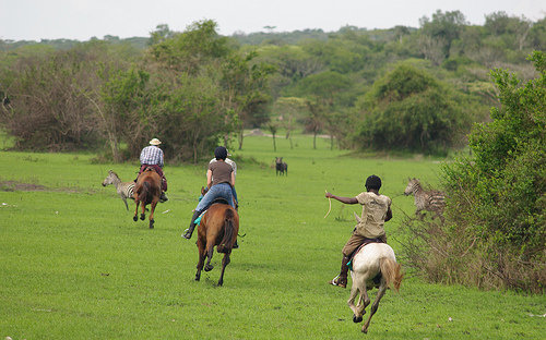 Horse-Ride