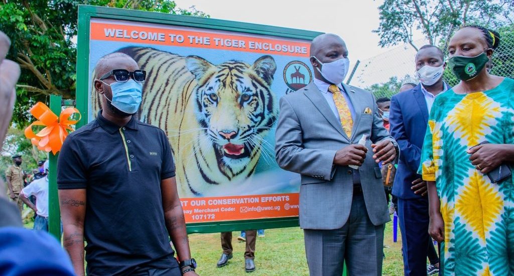 Bengal Tiger in uganda