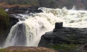 Murchison Falls National Park