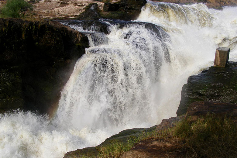 Murchison falls National park 