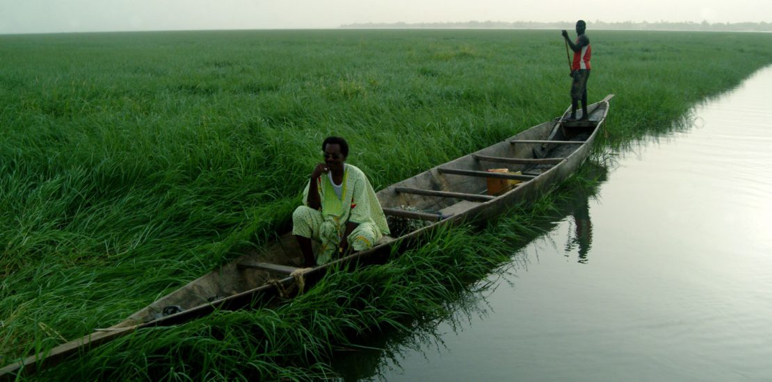 World wetlands day