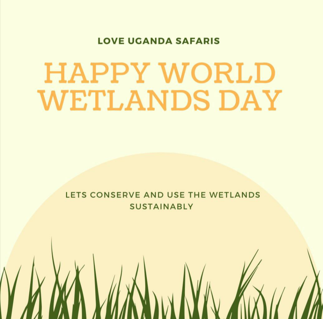 World wetlands day