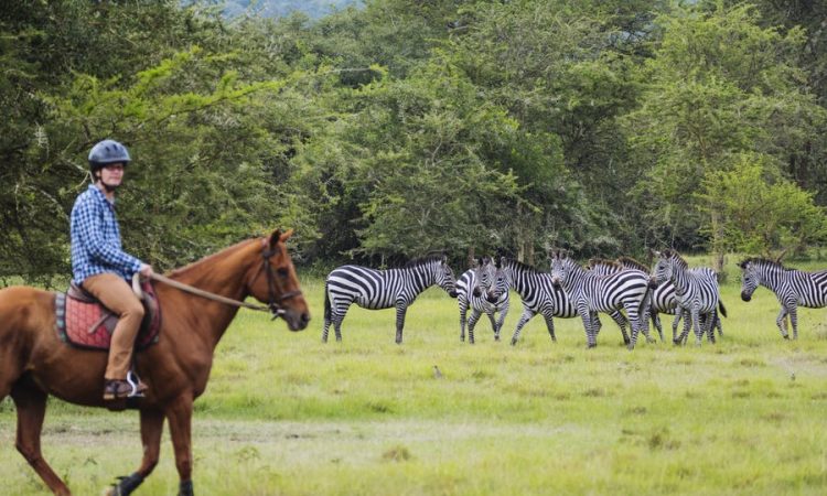 Horse back safari in Lake Mburo national park