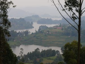 Safari in Uganda