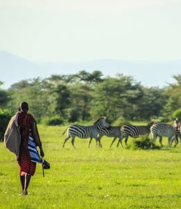 Cultural tours in Ngorongoro Conservation Area