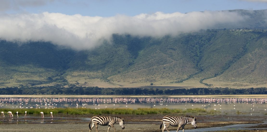 Ngorongoro conservation area