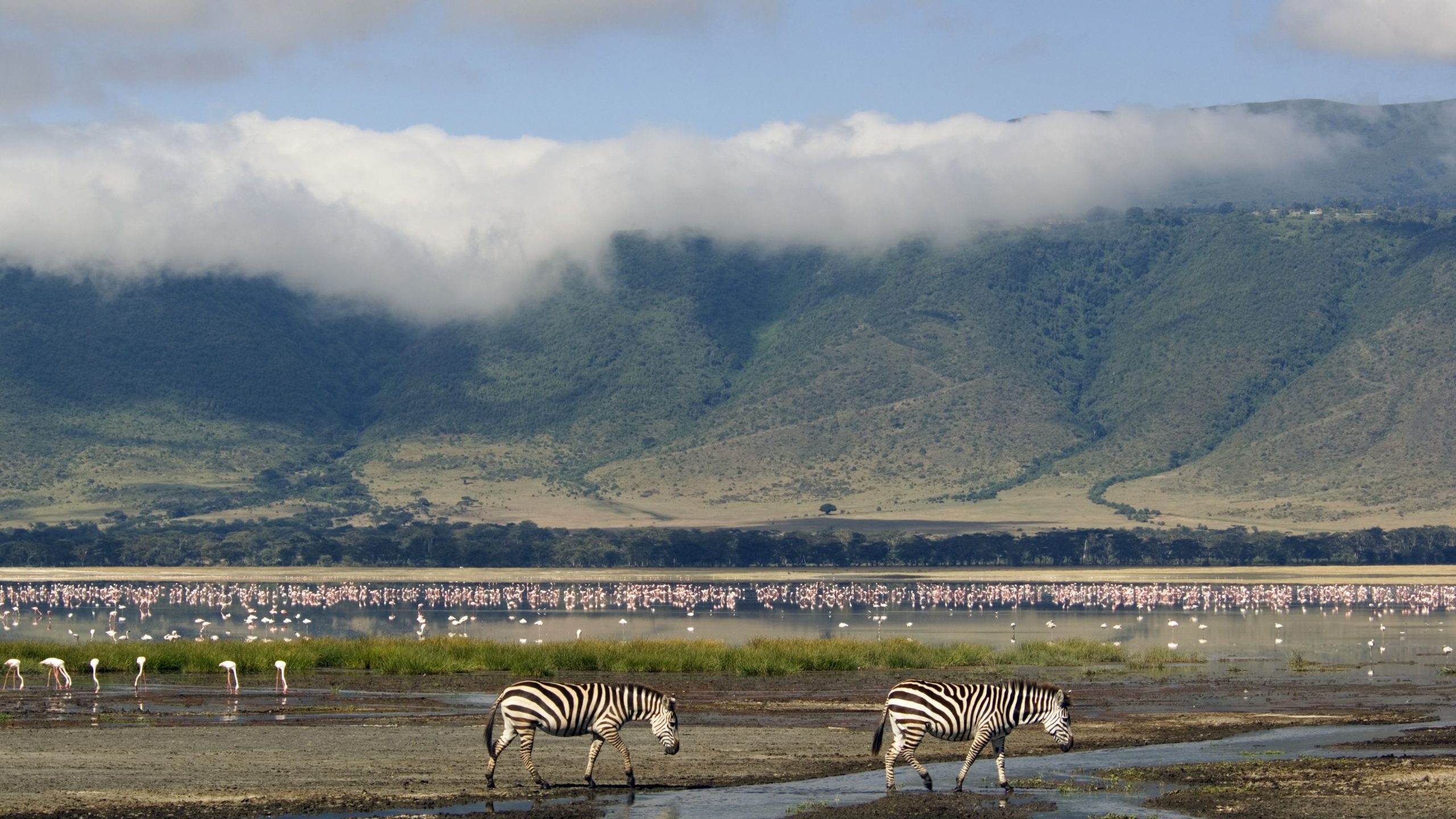 NGORONGORO CONSERVATION AREA