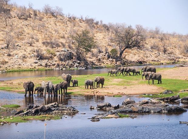 Ruaha national park
