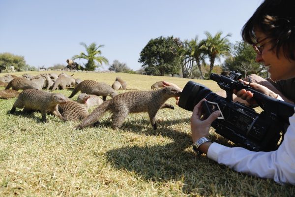 Experimental tourism in Uganda