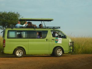 Game Drives in Lake Manyara national Park