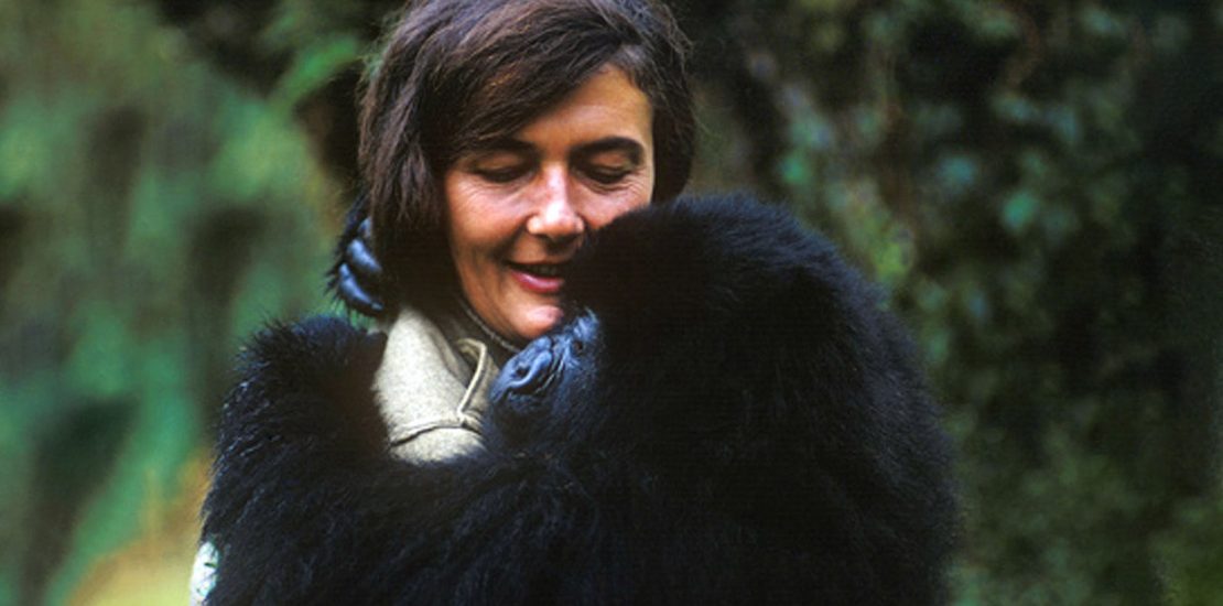 Dian fossey