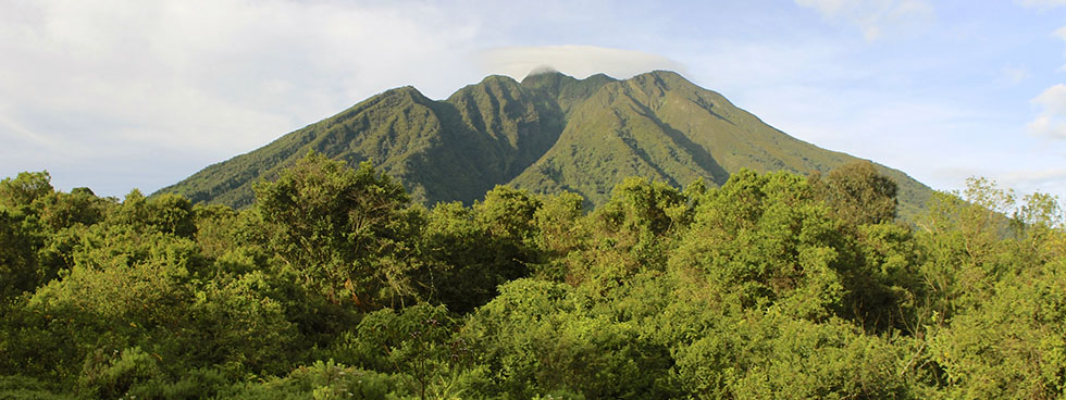 mountaineering in Mgahinga national park