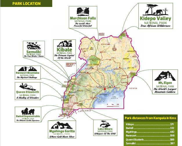 Uganda gorilla permit fee