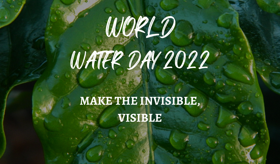 groundwater, world water day 2022