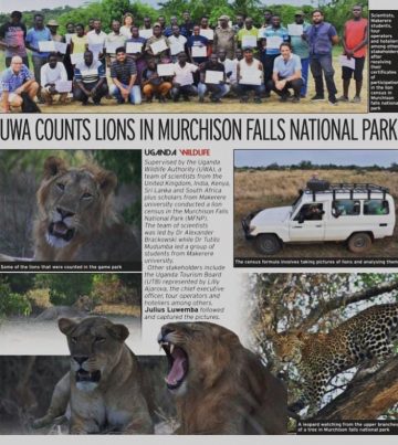 lion census in murchison falls