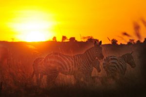 Sunset cycling tours in Uganda