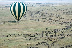 Wildebeest migration on a luxury safari in Kenya